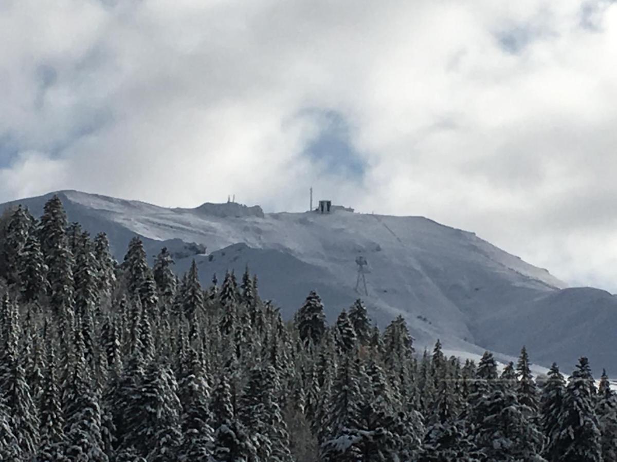 Le Lioran Studio Les Myrtilles A 200M Des Pistes Екстер'єр фото