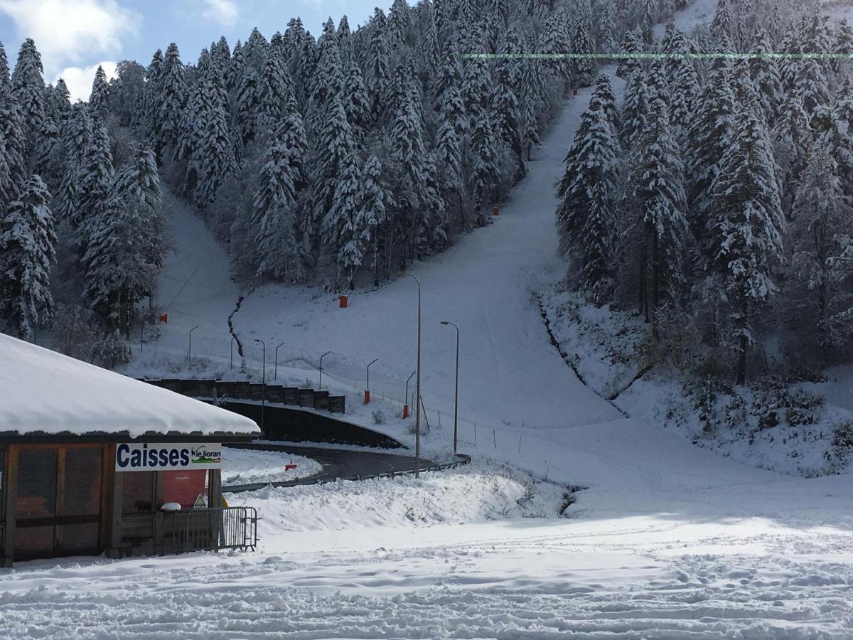Le Lioran Studio Les Myrtilles A 200M Des Pistes Екстер'єр фото